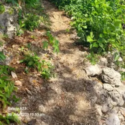 Local Village Tours - Amau