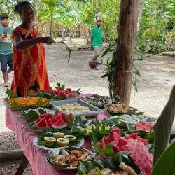 Local Village Tours - Amau