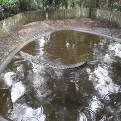 Rainforest Hiking Trails - Amau