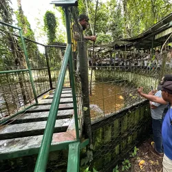 Rainforest Hiking Trails - Amau