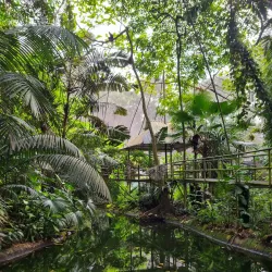 Rainforest Hiking Trails - Amau