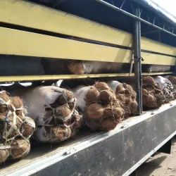 Boroko Market - Boroko