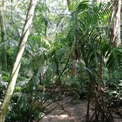 Port Moresby Nature Park - Boroko