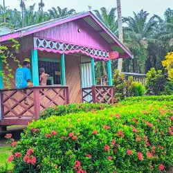 Kimbe Cultural Tours - Kimbe