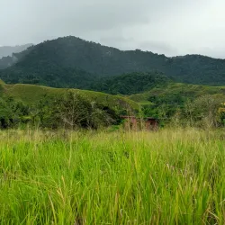 Kimbe Cultural Tours - Kimbe