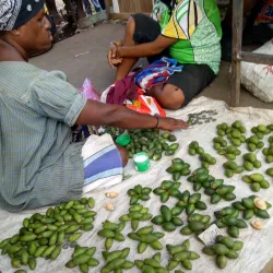 Kimbe Market - Kimbe