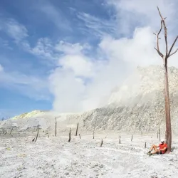 New Britain Rainforest - Kimbe