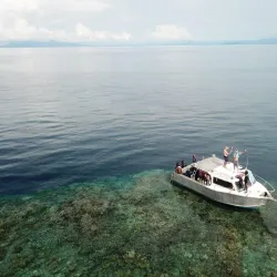 New Britain Rainforest - Kimbe