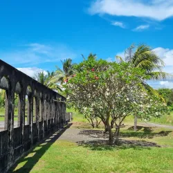 Rabaul Museum (Nearby) - Kimbe