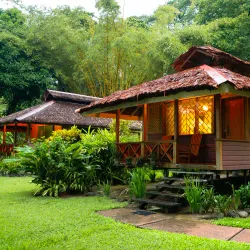 Walindi Plantation Resort - Kimbe