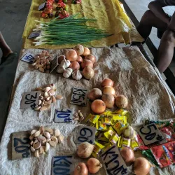 Kokopo Market - Kokopo