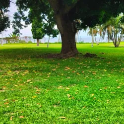 Vunapope Catholic Mission - Kokopo