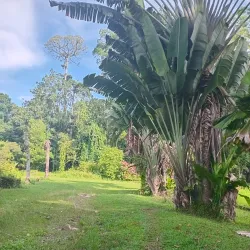 Botanical Gardens Lae - Lae