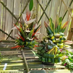 Botanical Gardens Lae - Lae