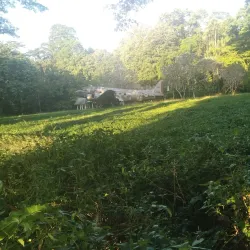 Botanical Gardens Lae - Lae