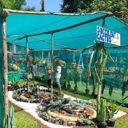 Botanical Gardens Lae - Lae