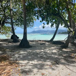 Marine Life and Coral Reefs - Lihir Island