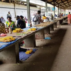 Mount Hagen Cultural Centre - Mount Hagen