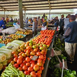 Mount Hagen Market - Mount Hagen