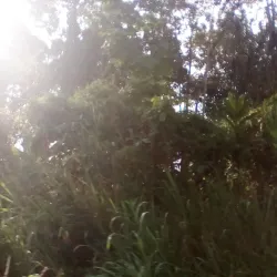 Kokoda Track - Popondetta