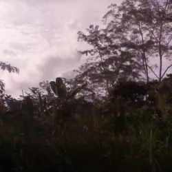 Kokoda Track - Popondetta