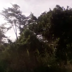 Kokoda Track - Popondetta