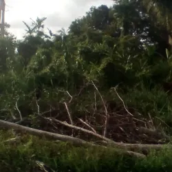 Popondetta Golf Club - Popondetta