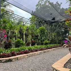 Adventure Park PNG - Port Moresby