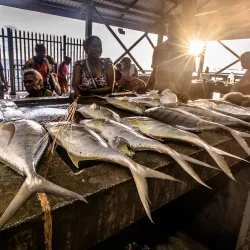 Port Moresby Market (Kila Kila Market) - Port Moresby