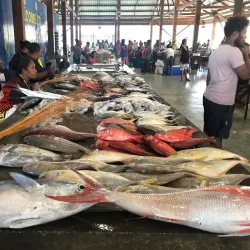 Port Moresby Market (Kila Kila Market) - Port Moresby