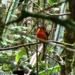 Varirata National Park - Port Moresby