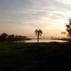 Mirador de Altos - Altos