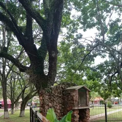 Parque Municipal de Altos - Altos