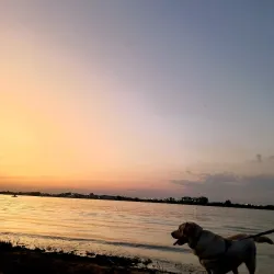 Costanera de Asunción - Asuncion