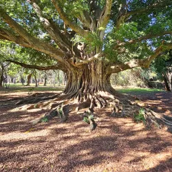 Jardín Botánico y Zoológico de Asunción - Asuncion