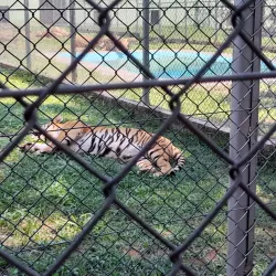 Jardín Botánico y Zoológico de Asunción - Asuncion