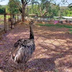 Jardín Botánico y Zoológico de Asunción - Asuncion