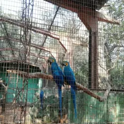 Jardín Botánico y Zoológico de Asunción - Asuncion