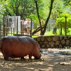 Jardín Botánico y Zoológico de Asunción - Asuncion