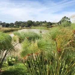 Bella Vista Municipal Park - Bella Vista