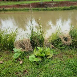 Bella Vista Municipal Park - Bella Vista