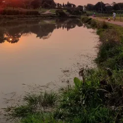 Bella Vista River Walk - Bella Vista