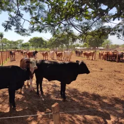 Ybytyruzú National Park - Bella Vista