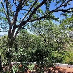 Monumento a la Paz - Ciudad del Este