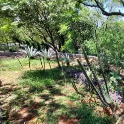 Monumento a la Paz - Ciudad del Este