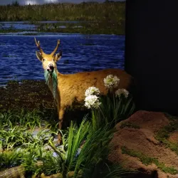 Museo de la Tierra Guaraní - Ciudad del Este