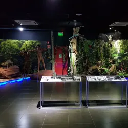 Museo de la Tierra Guaraní - Ciudad del Este