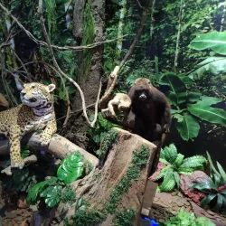 Museo de la Tierra Guaraní - Ciudad del Este