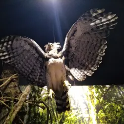 Museo de la Tierra Guaraní - Ciudad del Este