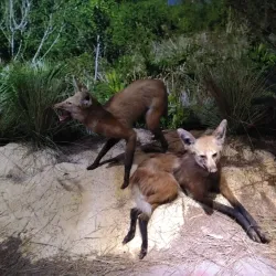 Museo de la Tierra Guaraní - Ciudad del Este